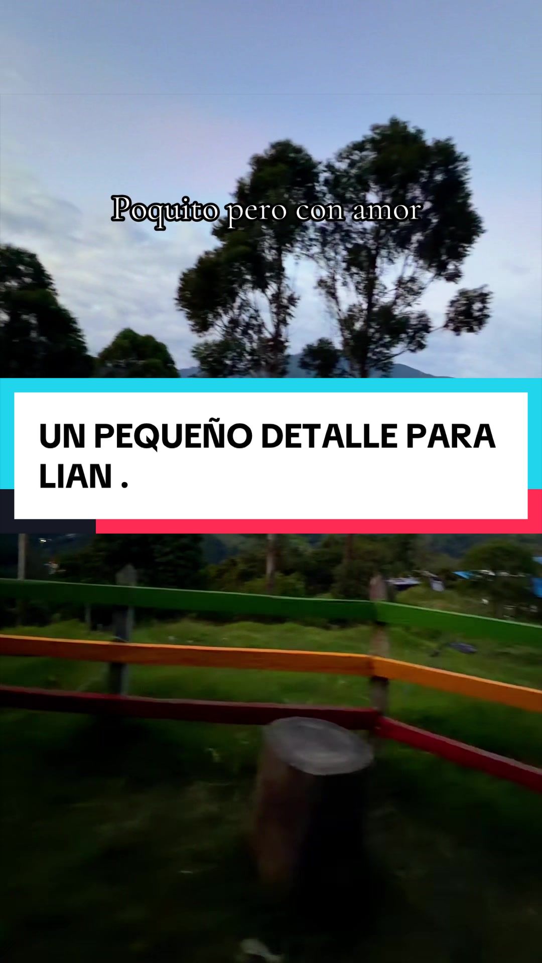 @Publidrones Ibagu&eacute; oficial