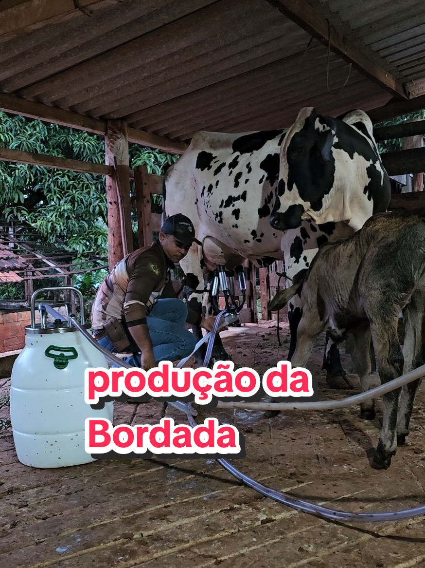 @Geovane neto