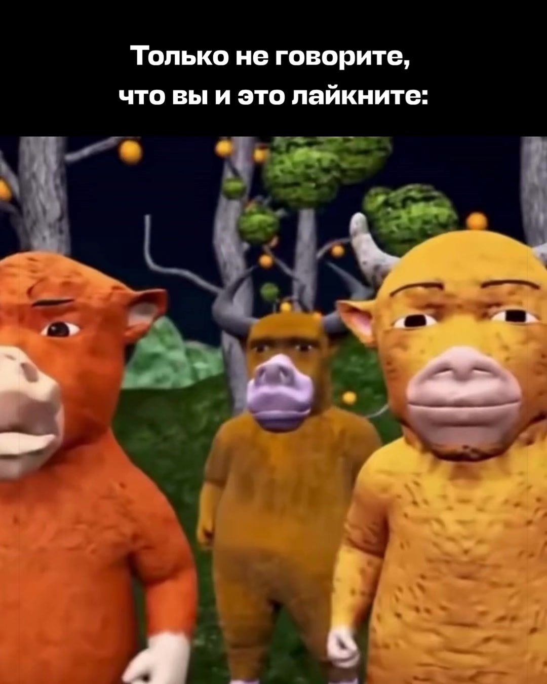 @Aviasales Беларусь