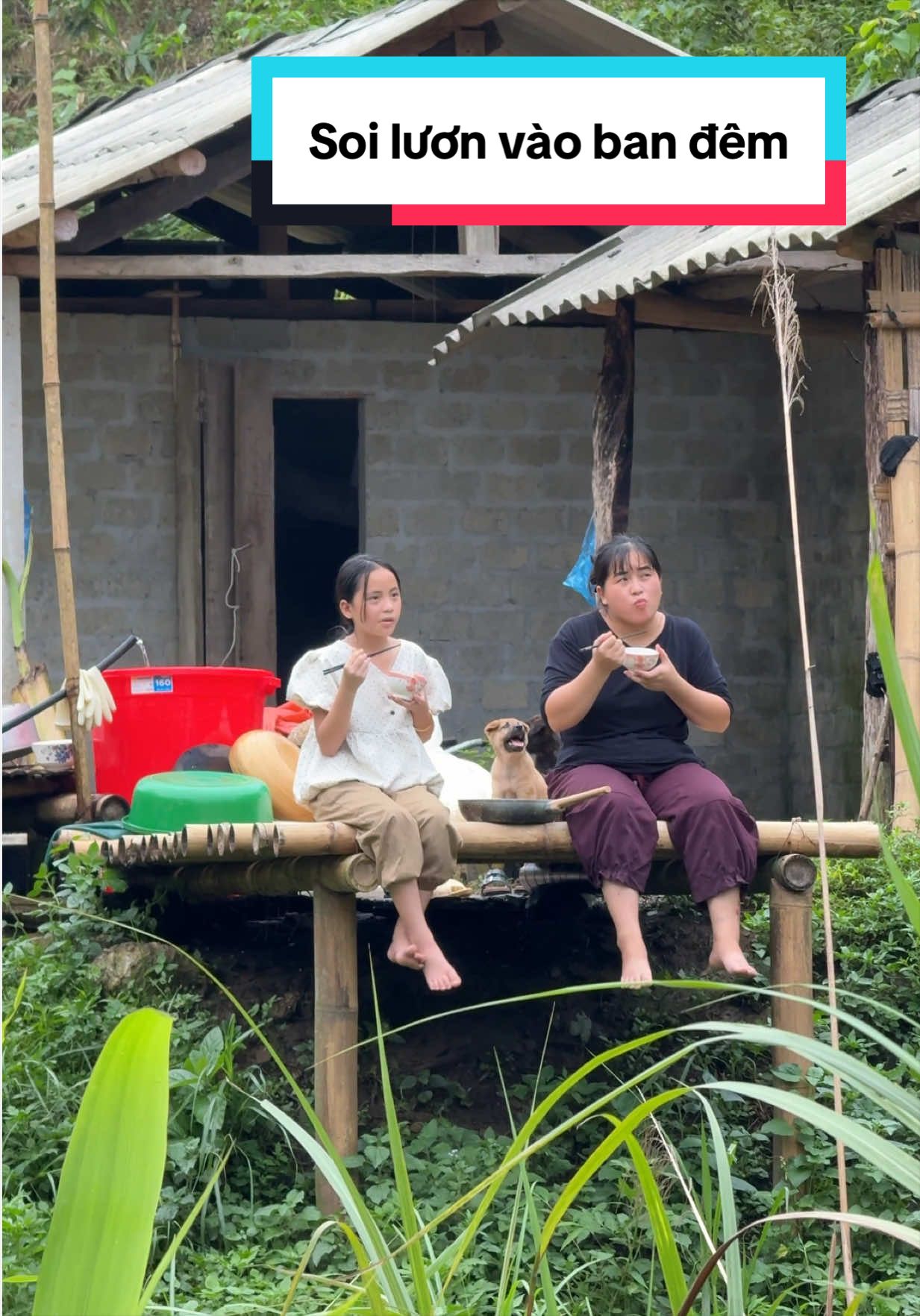@Sức Tày