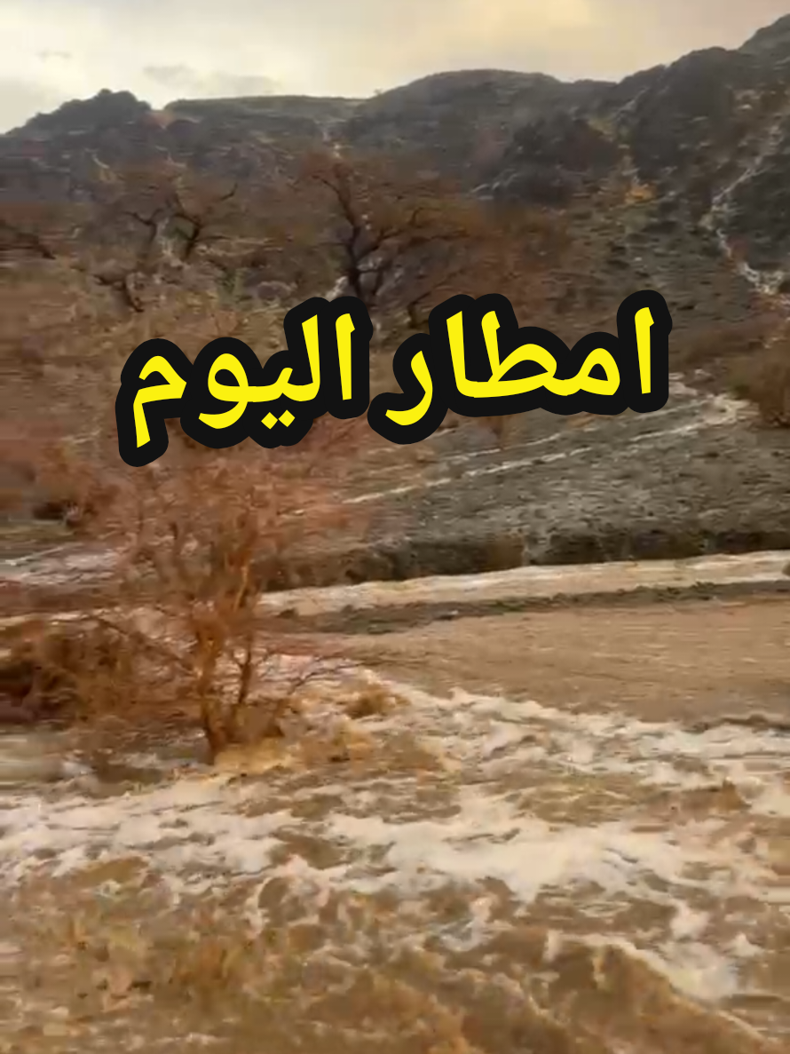 @سعود من المدينة Madinah 🇸🇦