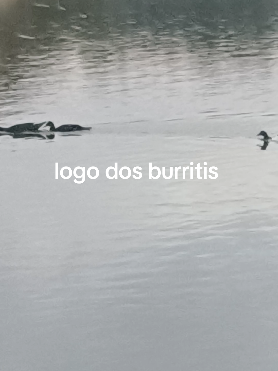 @Quesla da silva