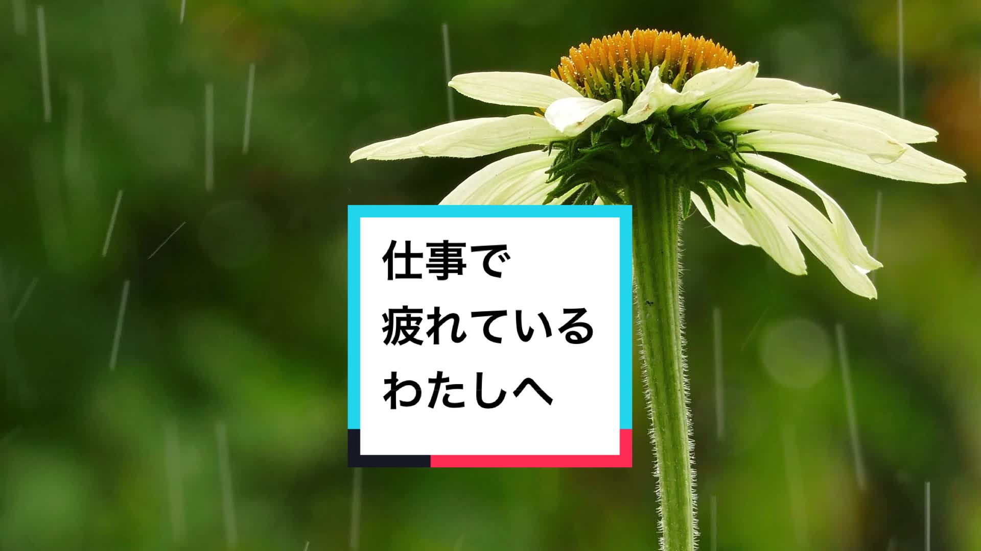 @gentlemorninginspiration