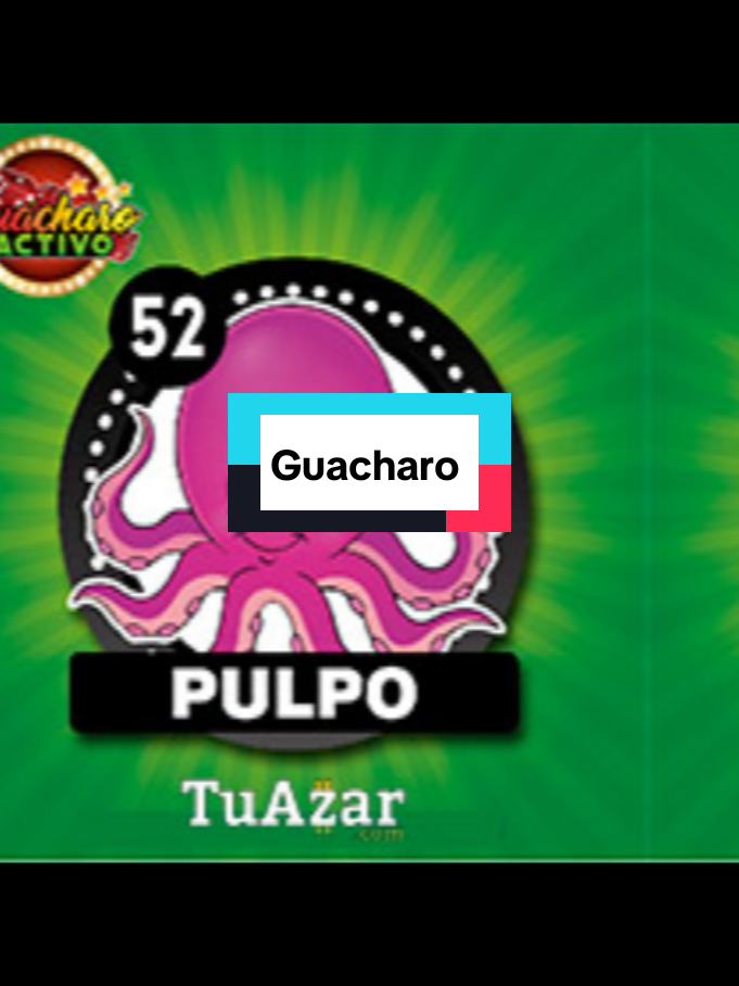@el Gocho