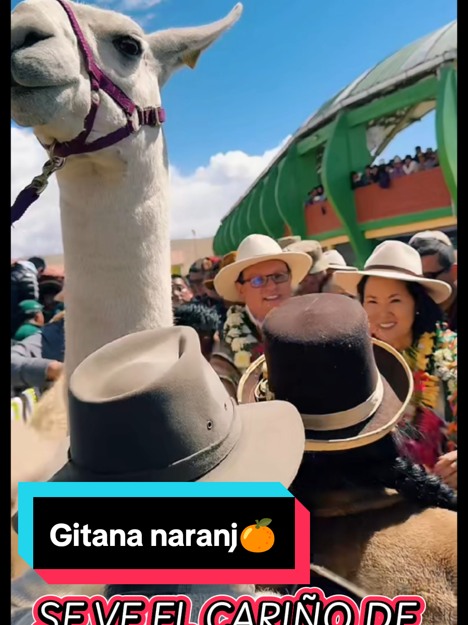 @Gitana Naranj🍊