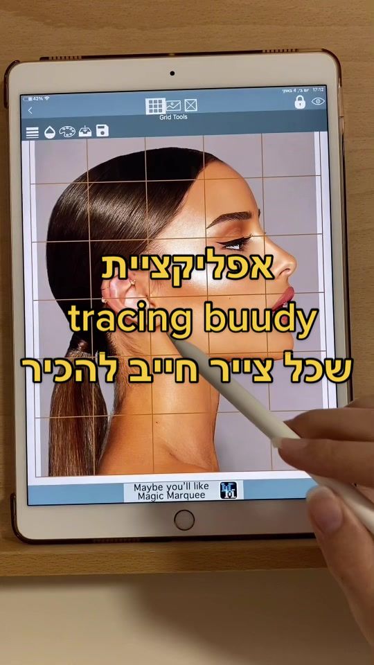 @sapir partush