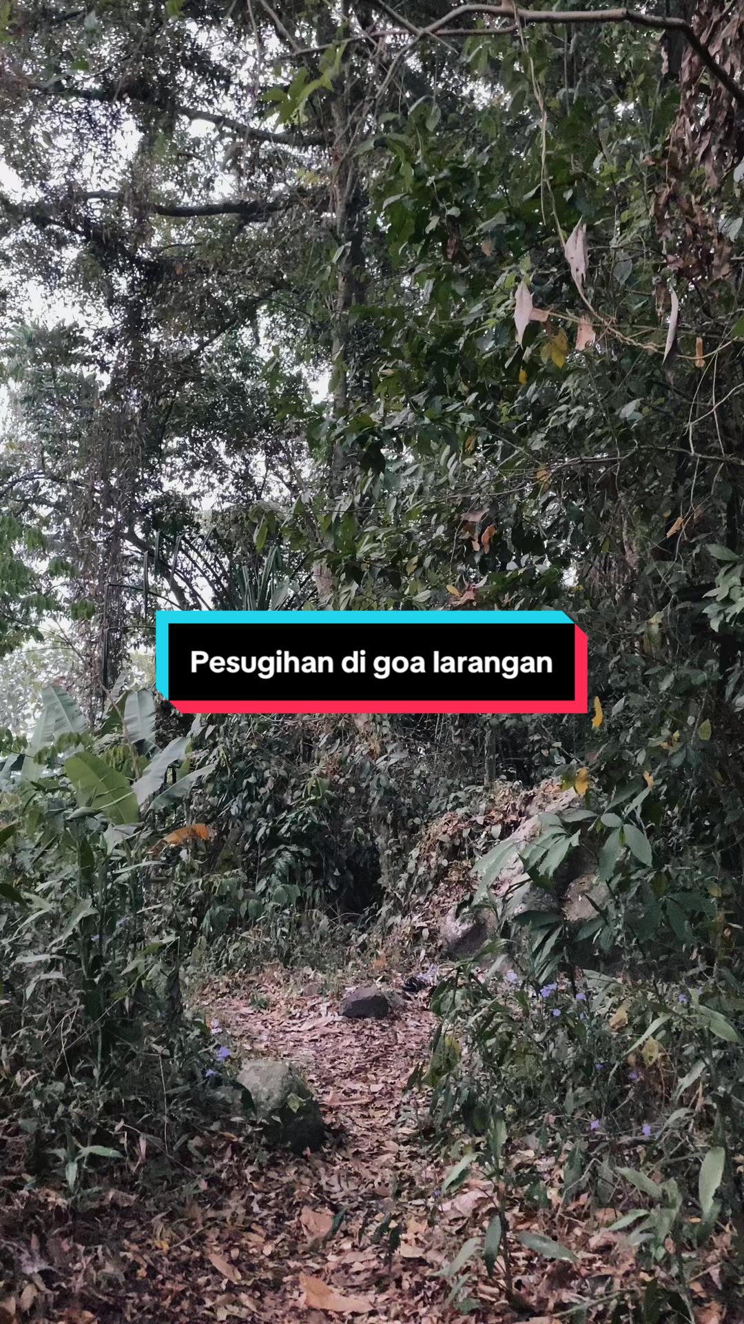 @AKAR MISTERI