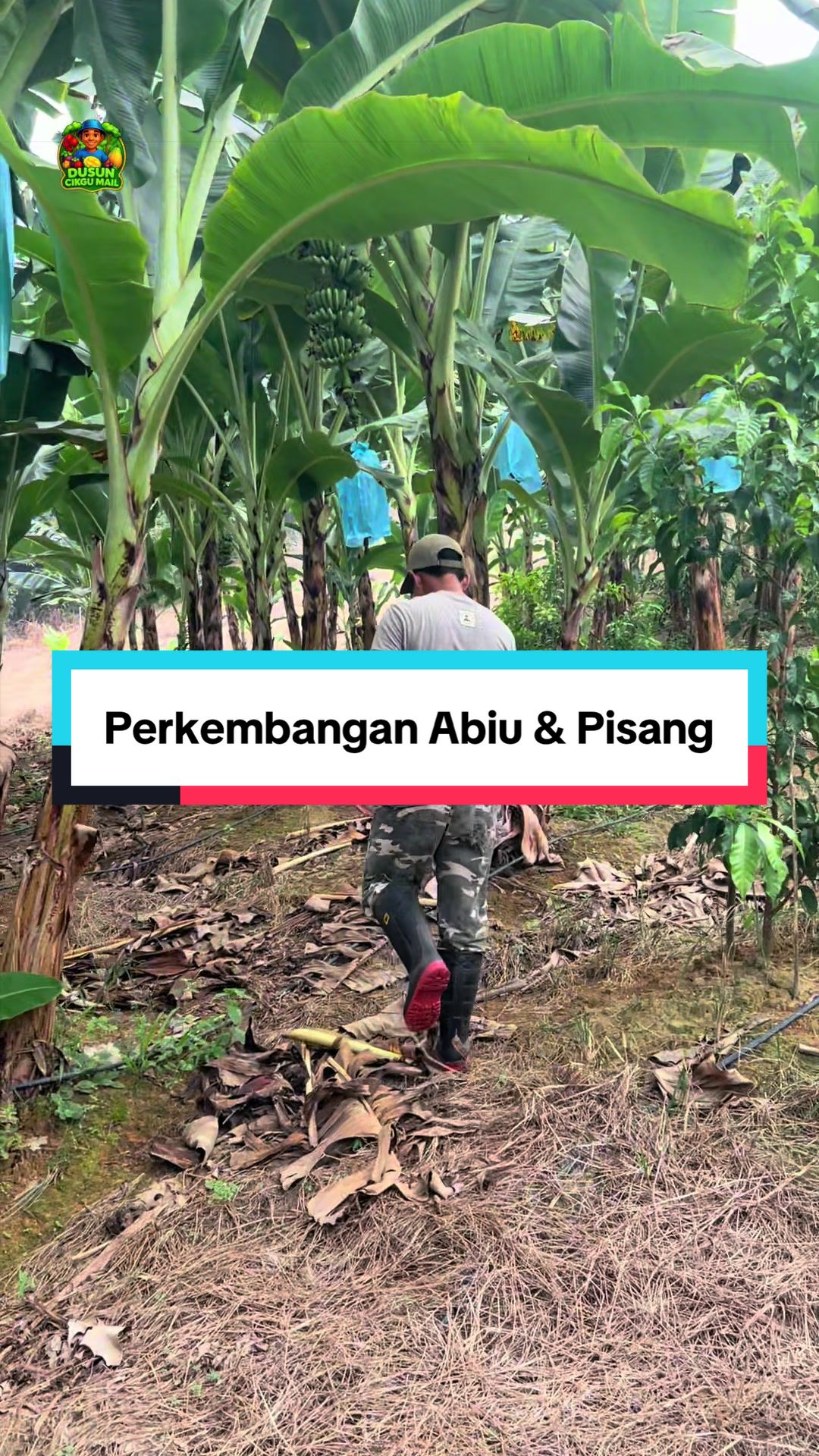@Dusun Cikgu Mail