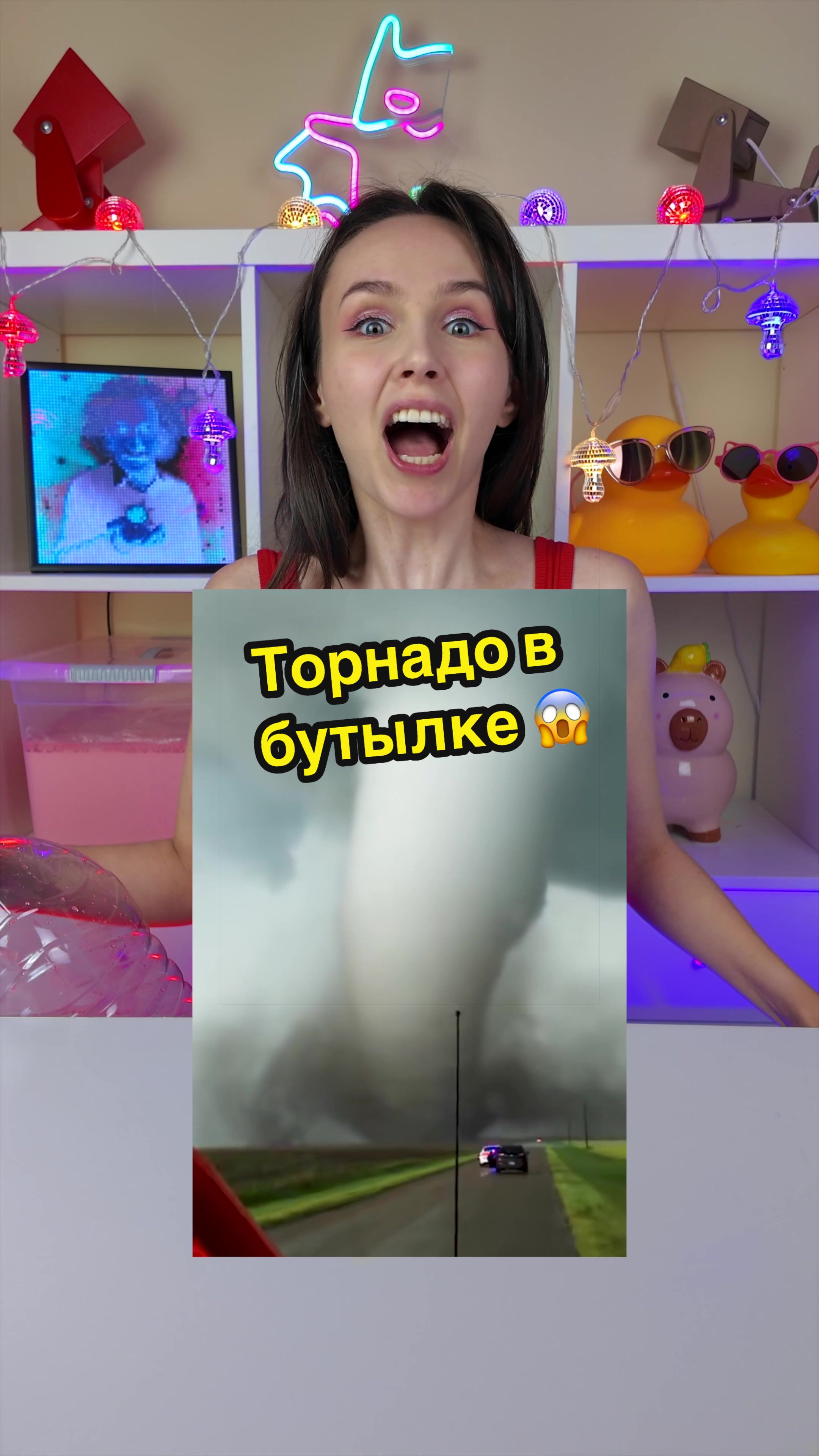 @Полинка и Оператор