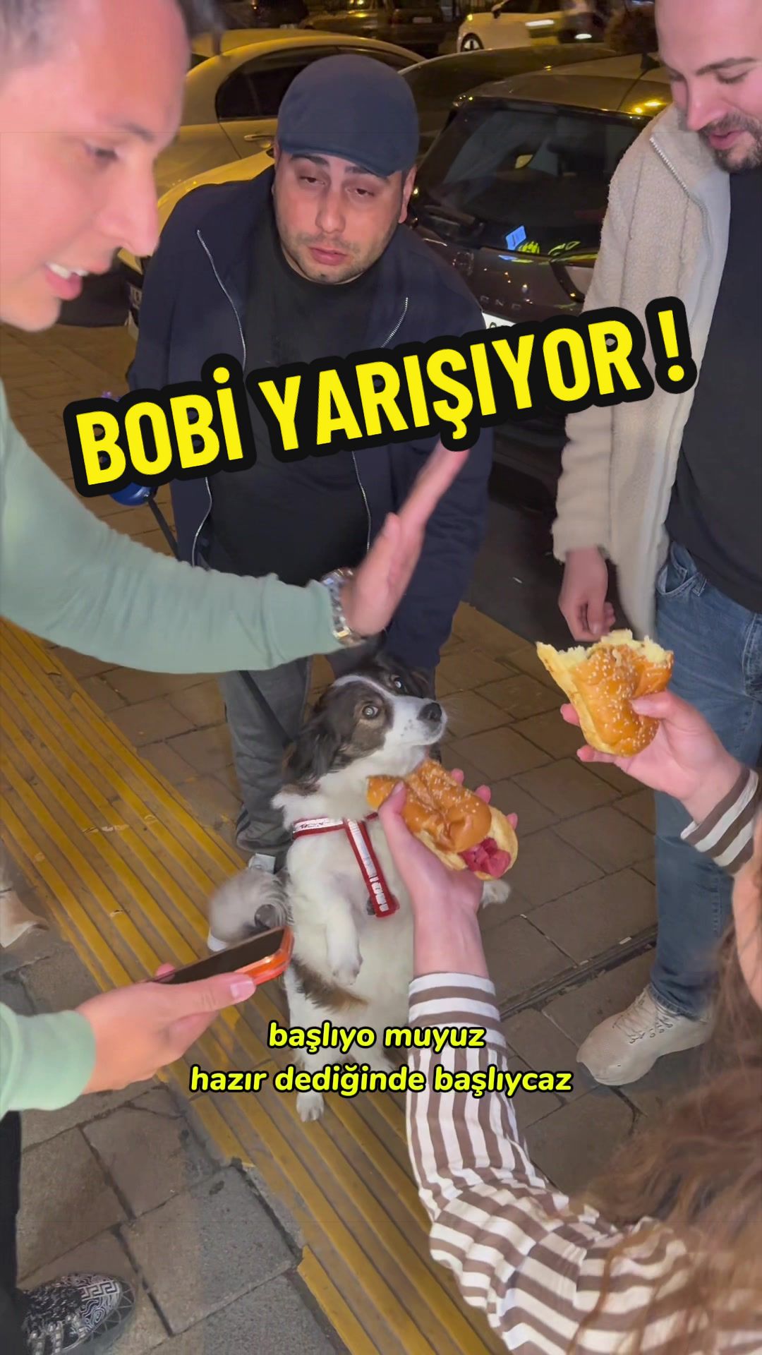 @tezgahtar_tr
