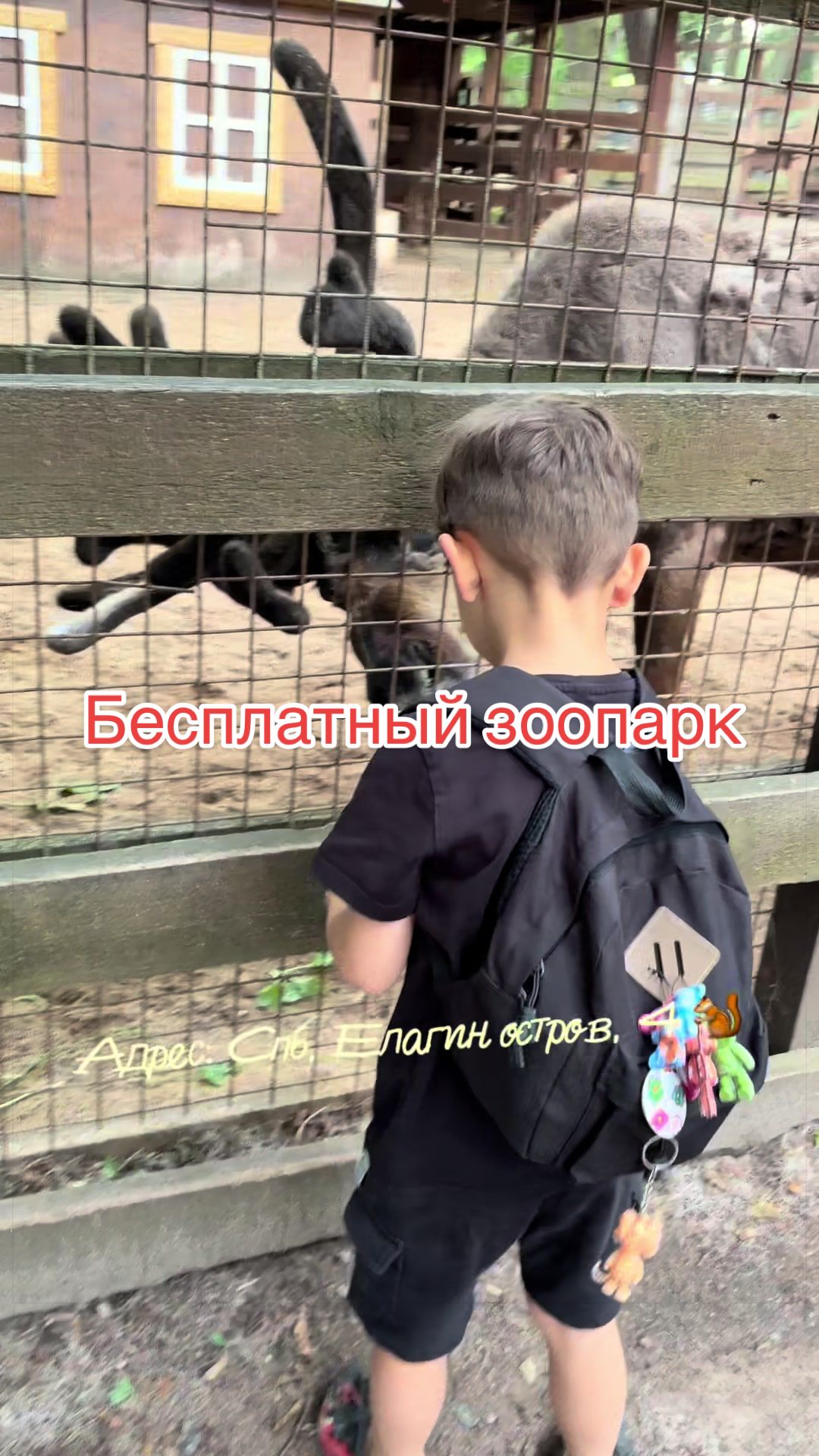 @Картаво, зато от души
