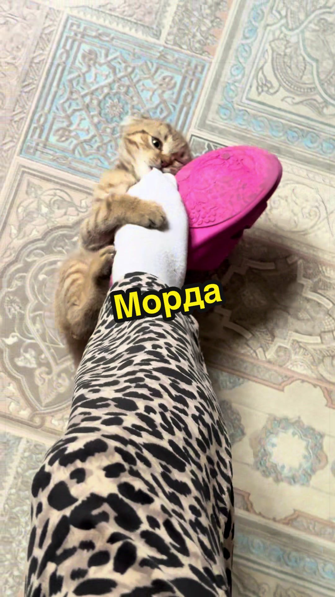 @Poznyak.08