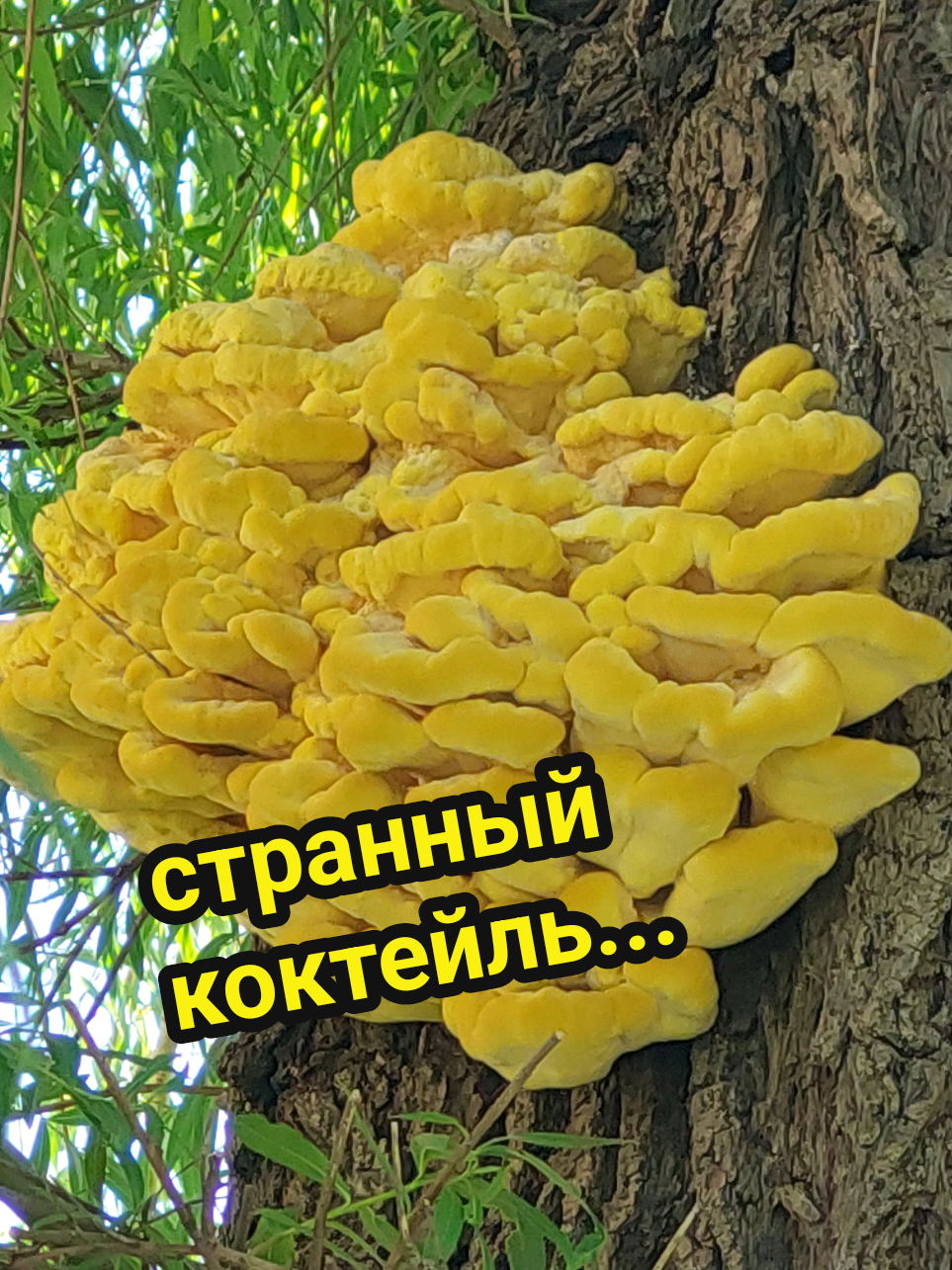 @Рыся✔️🇧🇾