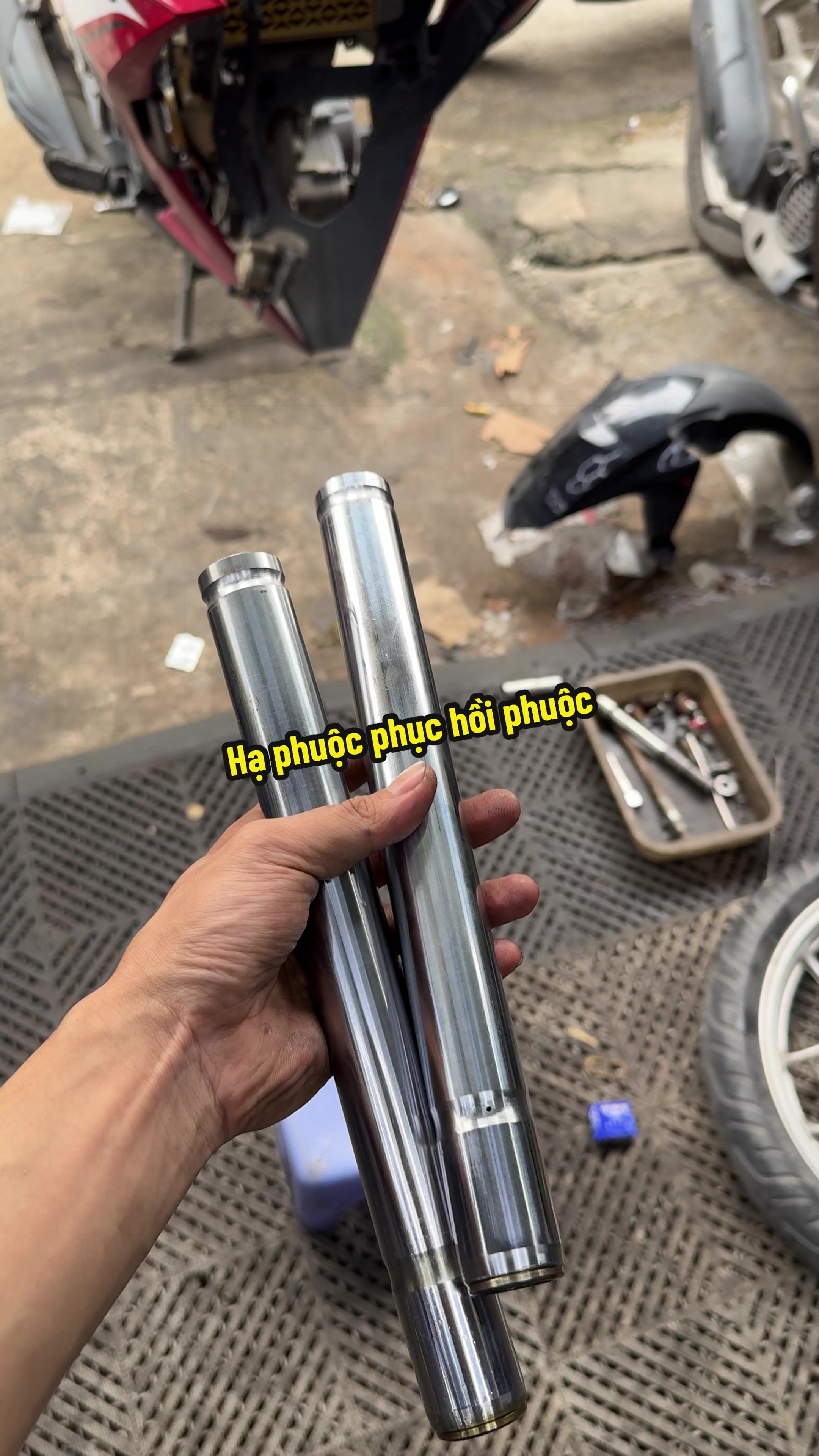 @Đạt Là 🇻🇳