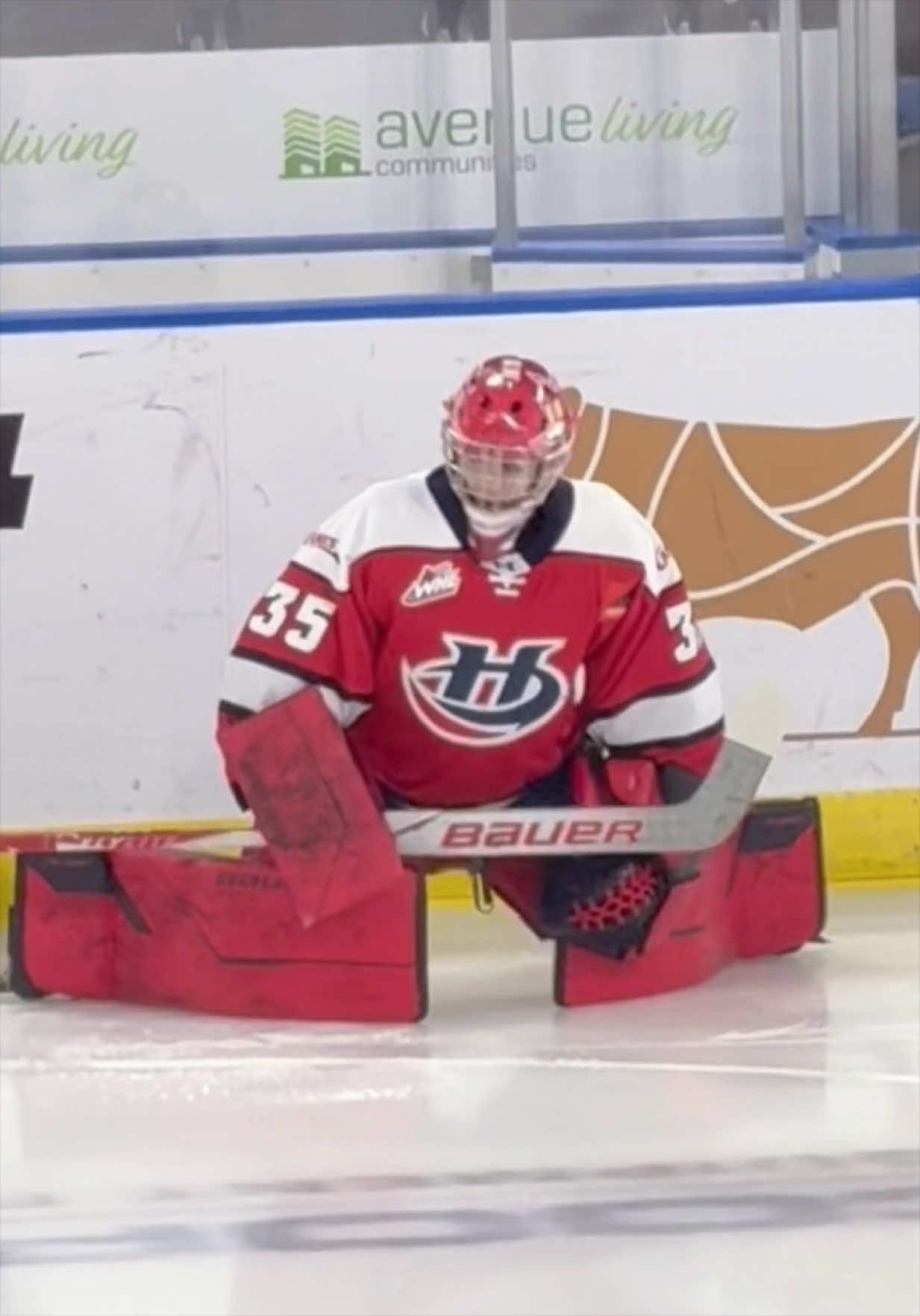 @The TikTok Goalie