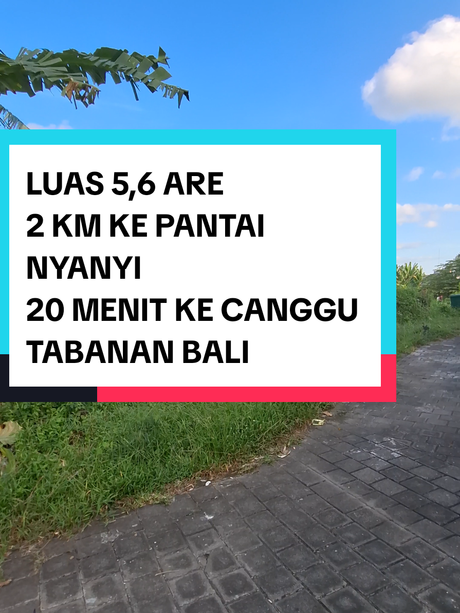 @Balinese Broker Bali