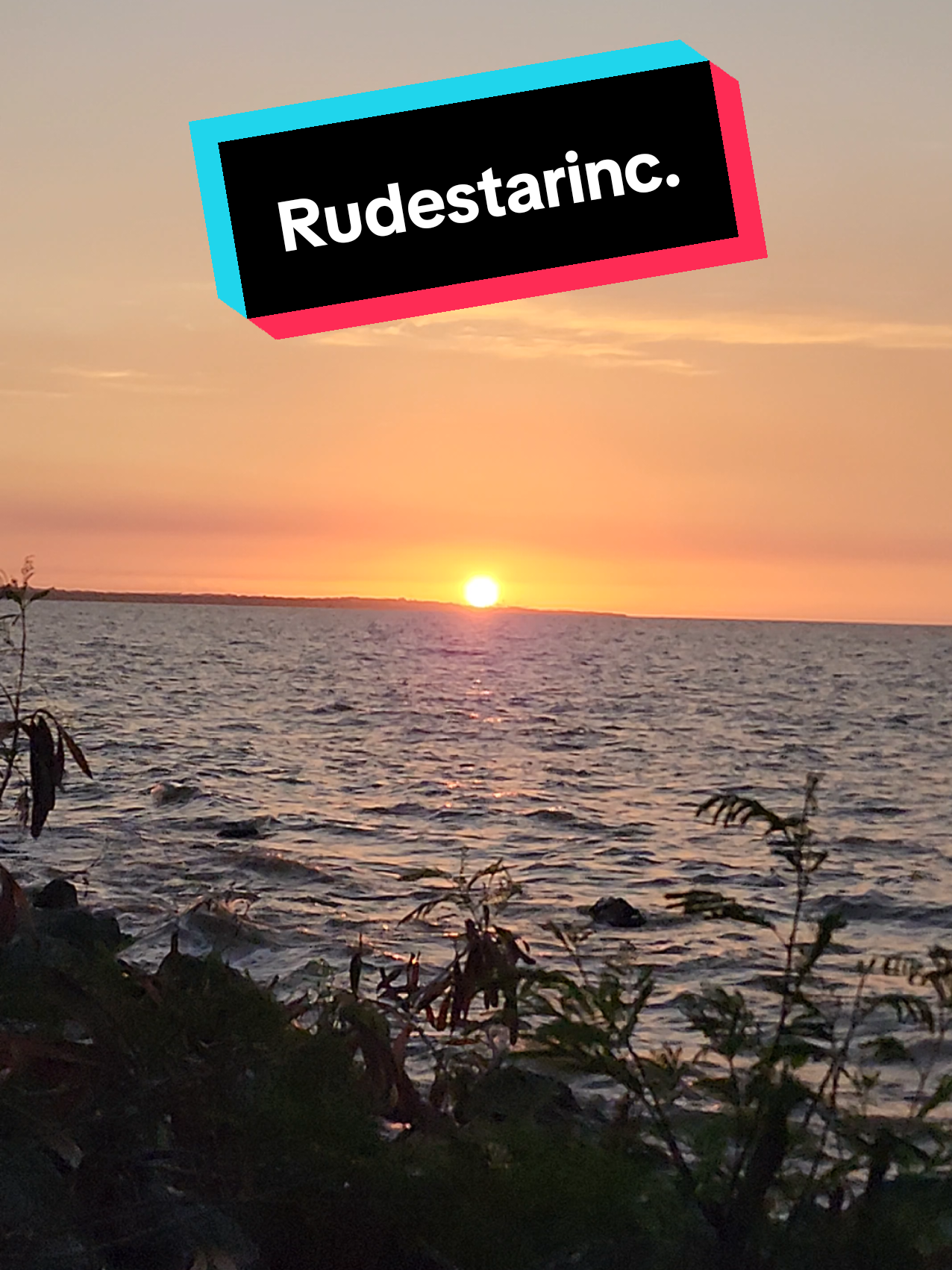 @Rudestarinc.