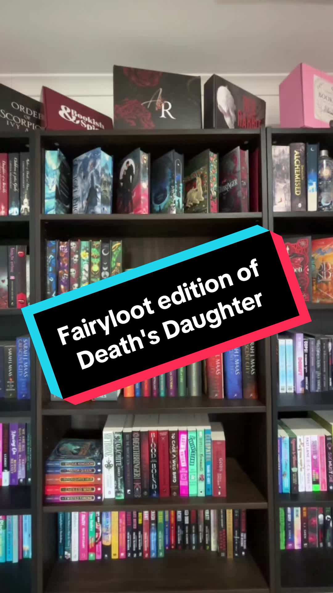 @💐 shay's book corner 💐