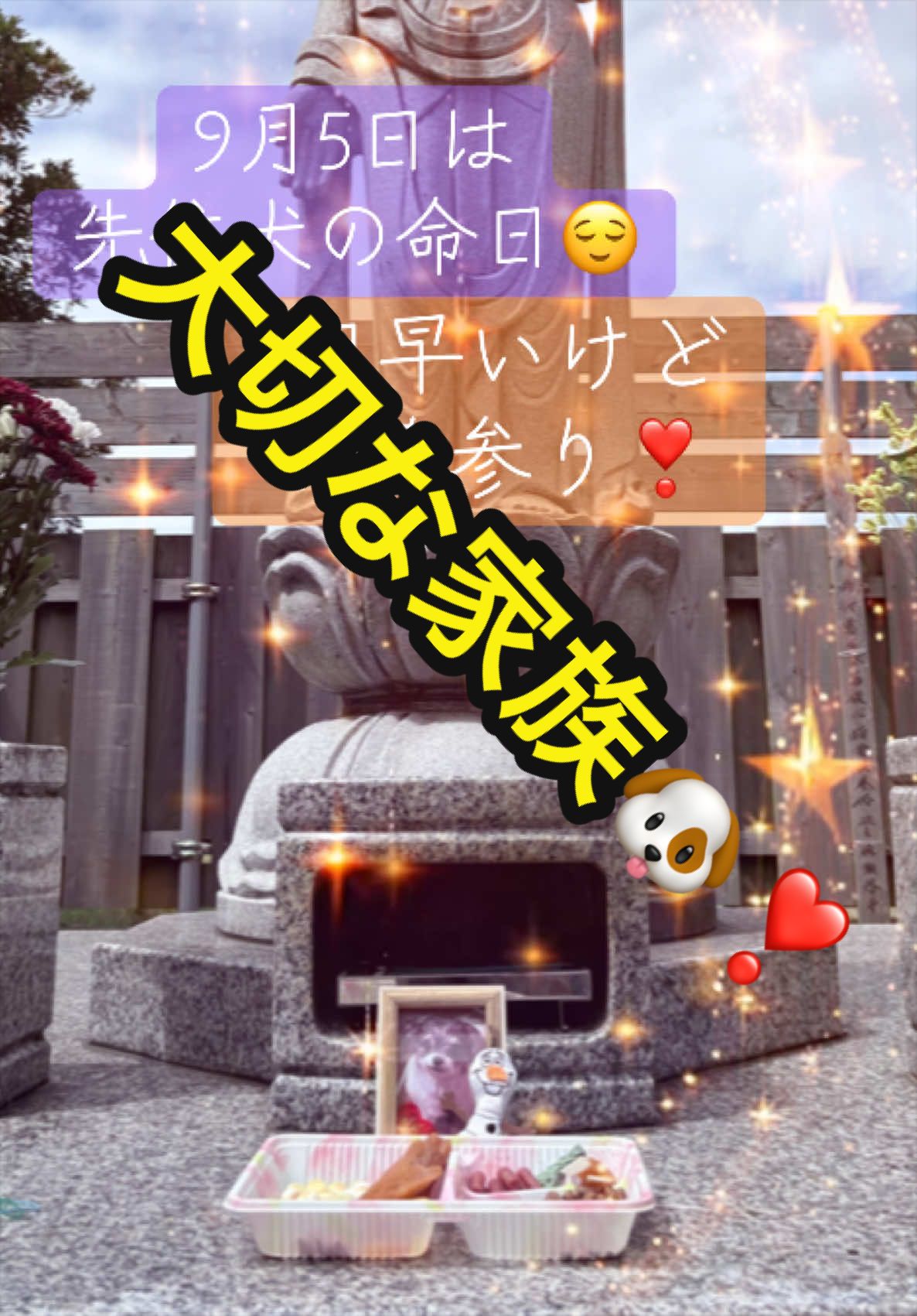 @𑁍︎&middot;͜&middot;えりぽんꫂ&nbsp;ၴႅၴ