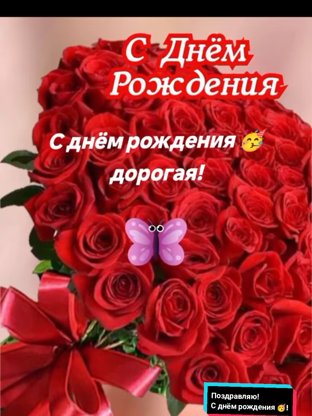 @Z.Svirgunova