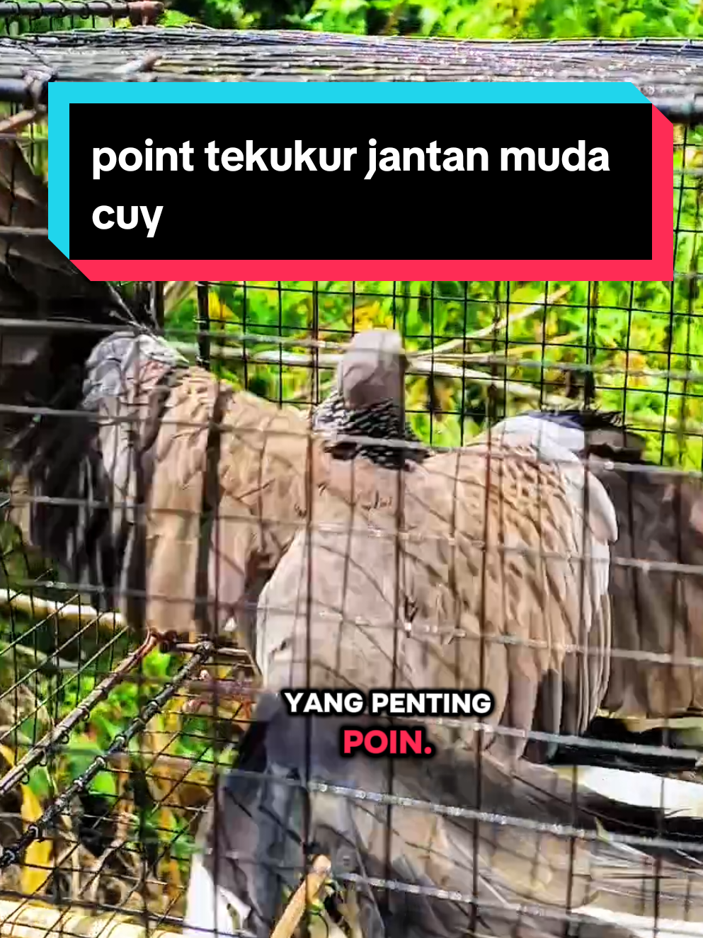 @PJr. EXPLORE