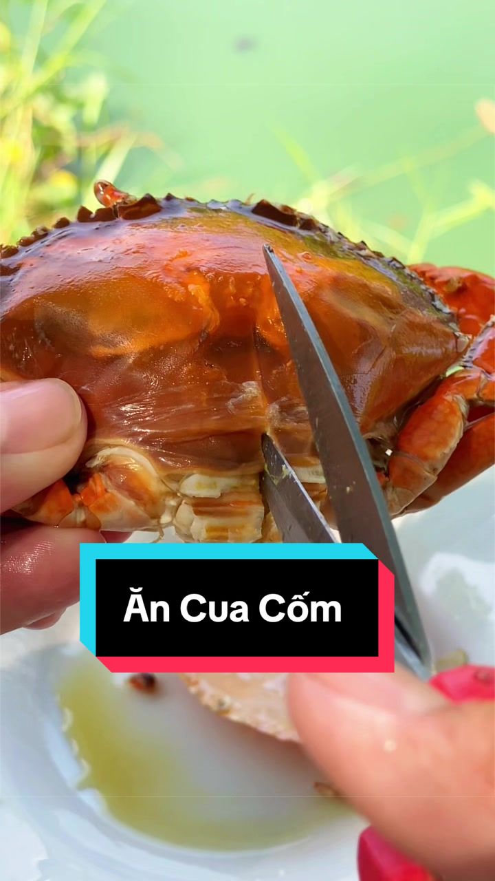 @Tuananh Do