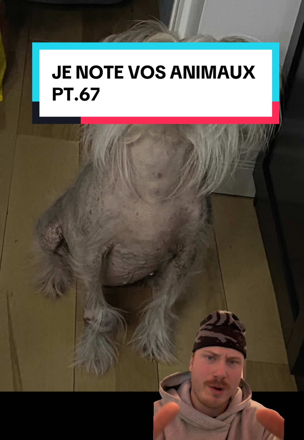 @messierlaterreur