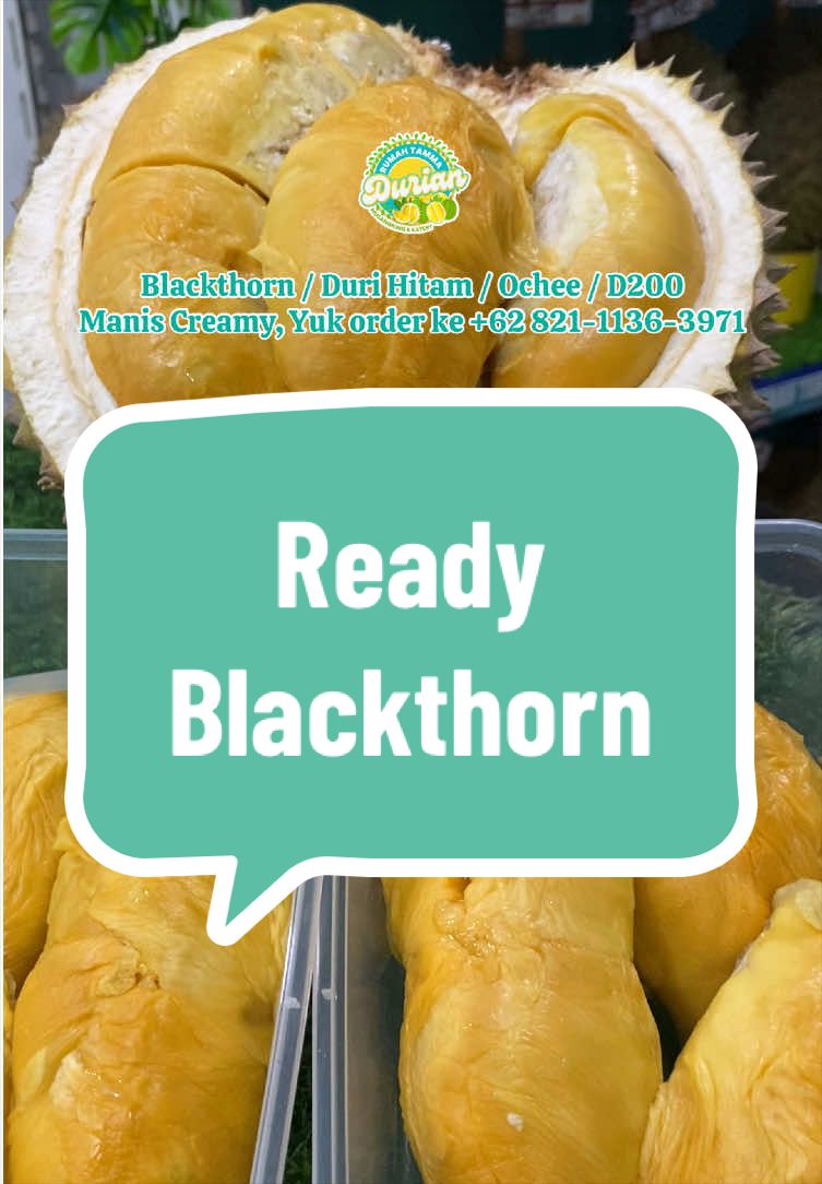 @Rumah Tamma Durian