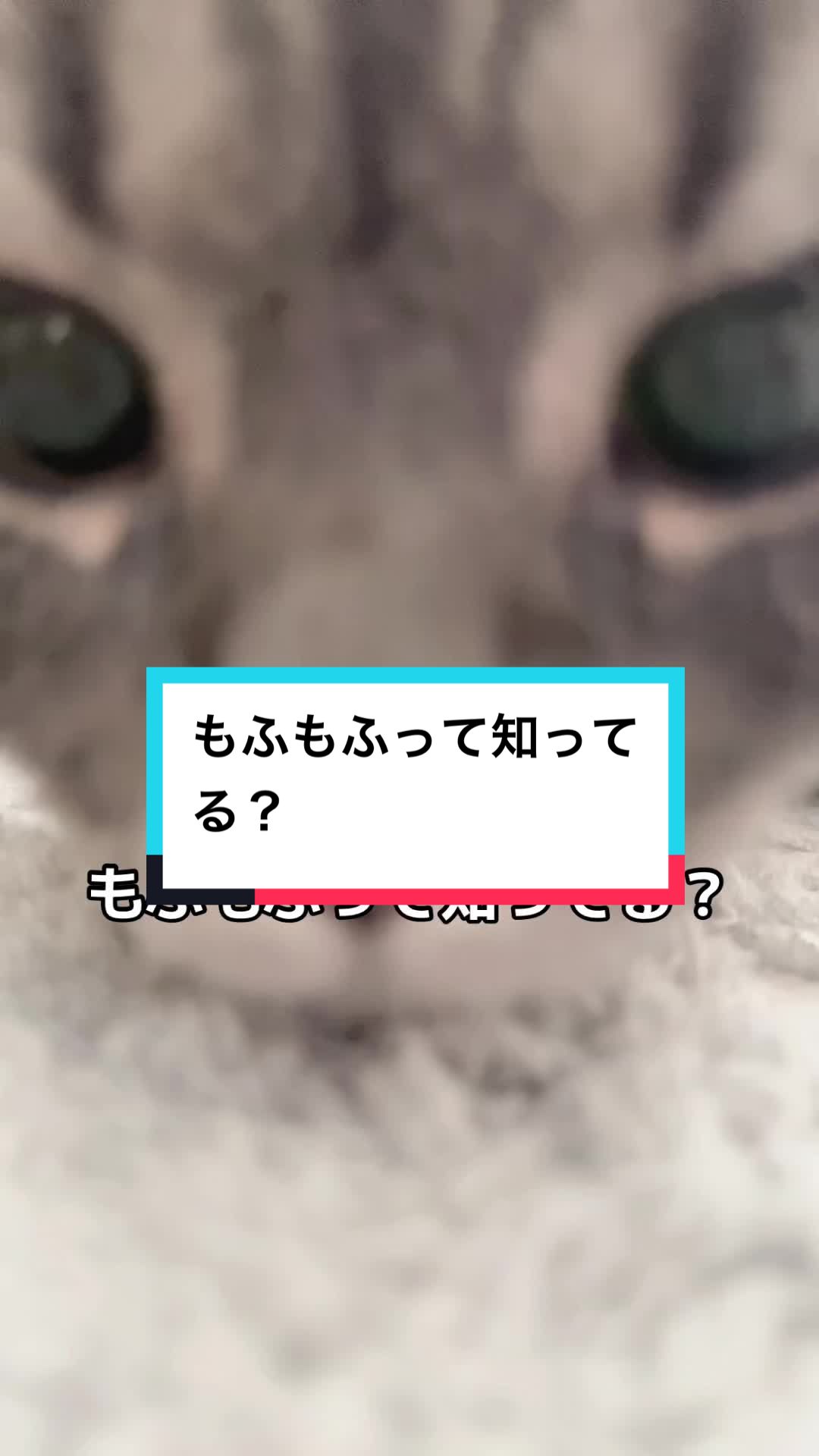 @ふたばꕤ︎︎