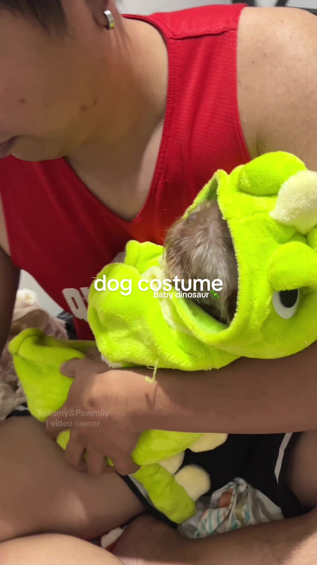 @Bellamy&Pawmily