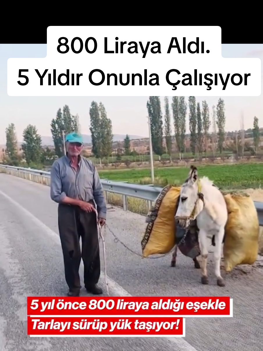 @Sorgunadair