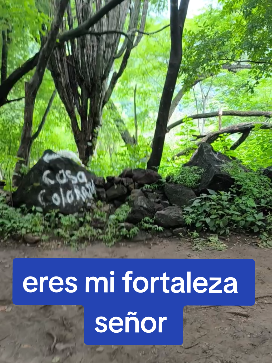 @RAÚL FL💙