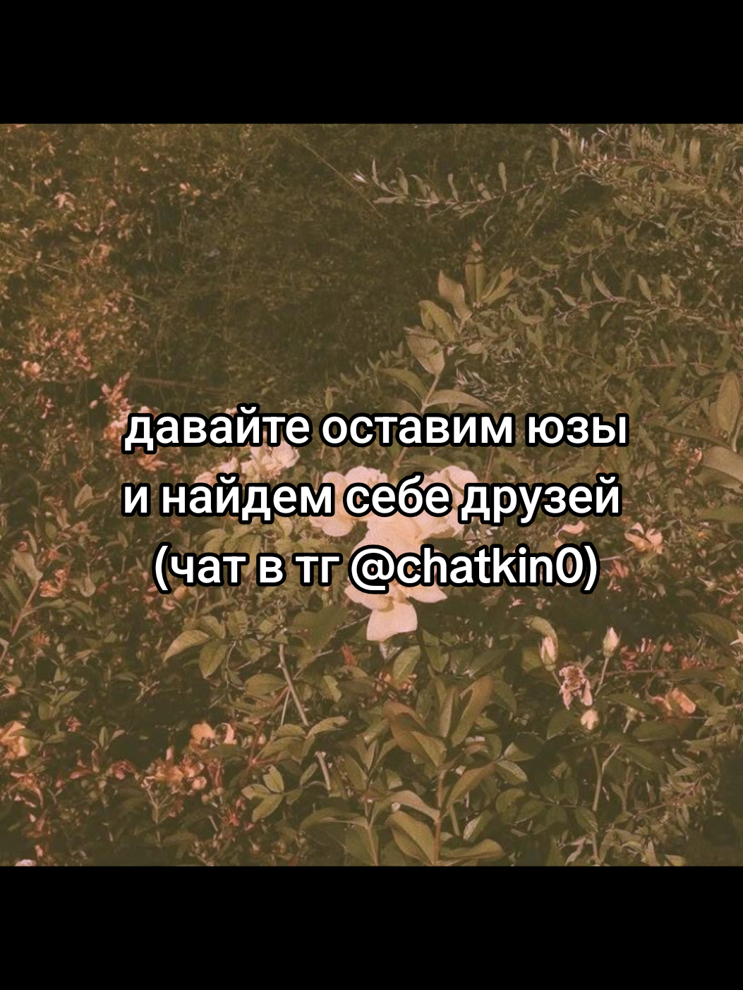 @cqtagger
