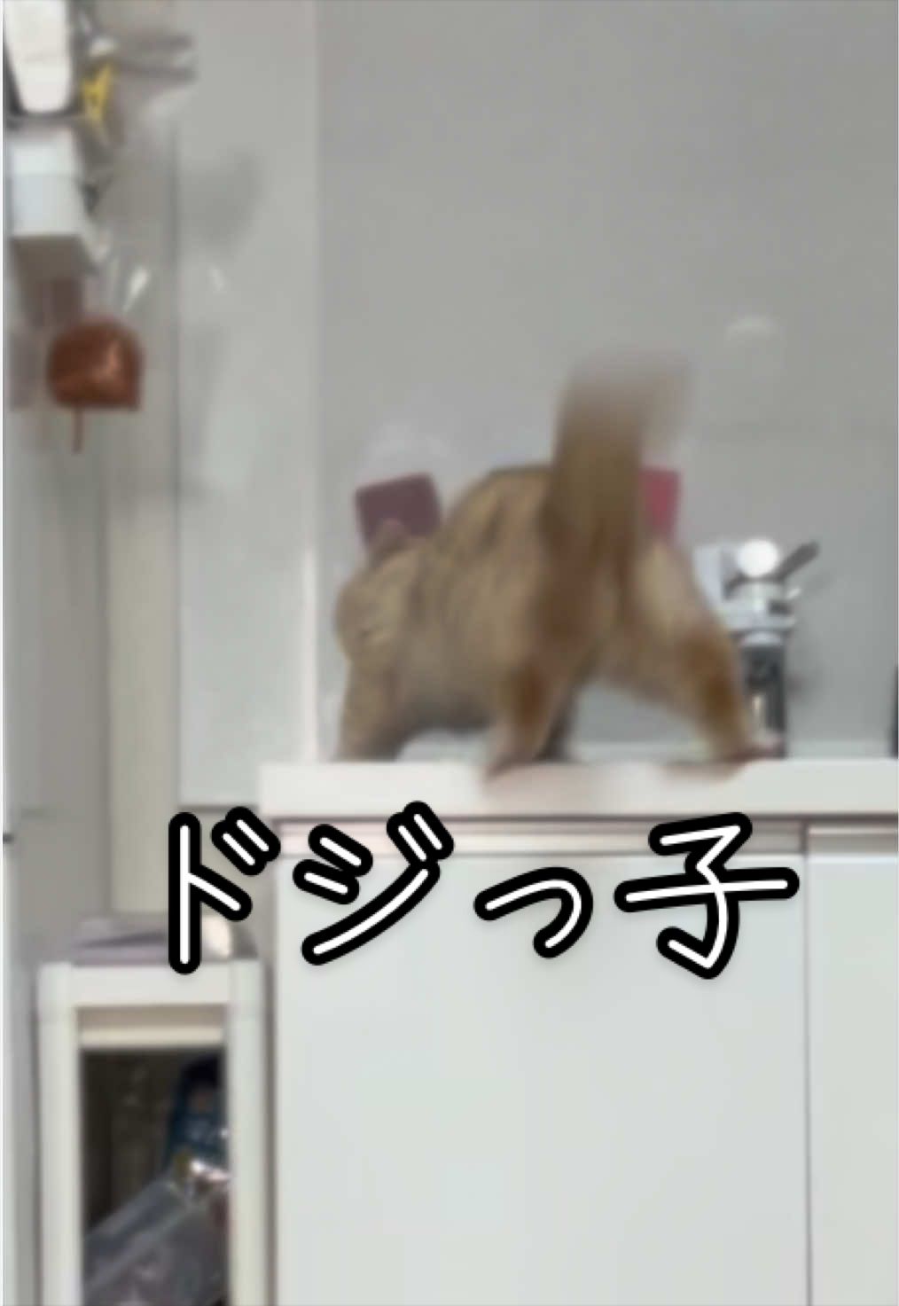 @縫くんと私