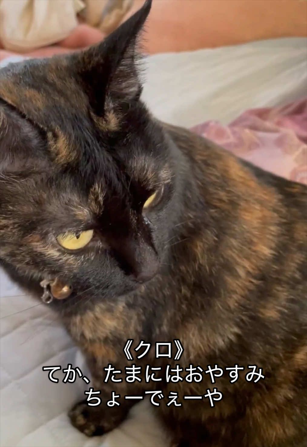 @聴々物語PROJECT