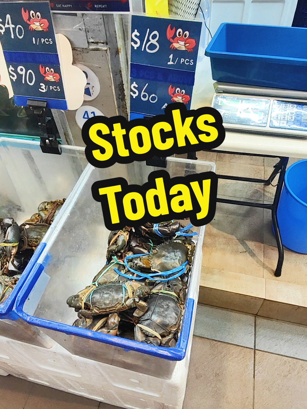 @Live Seafood Supply @ Crabtalk