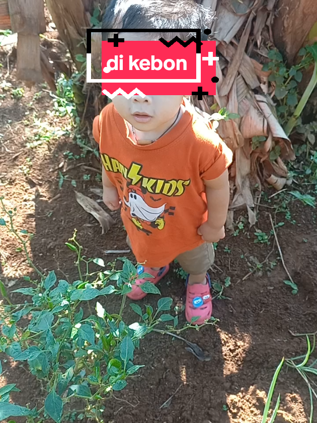 @Gimskidz
