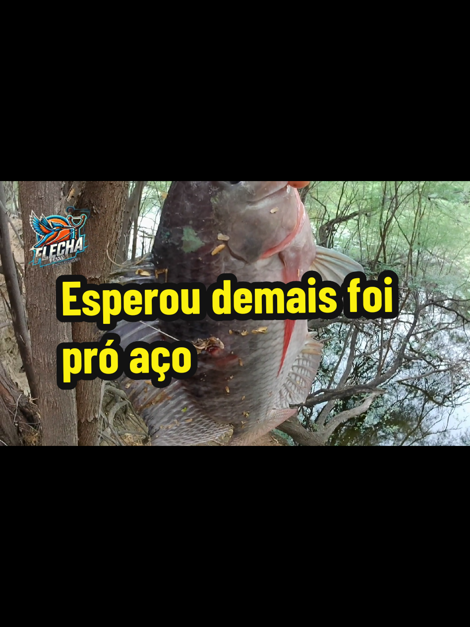 @Joildo Araujo