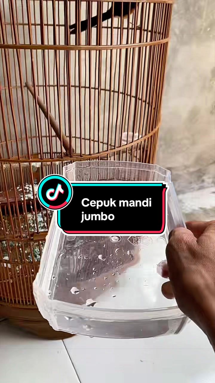 @kicau mart