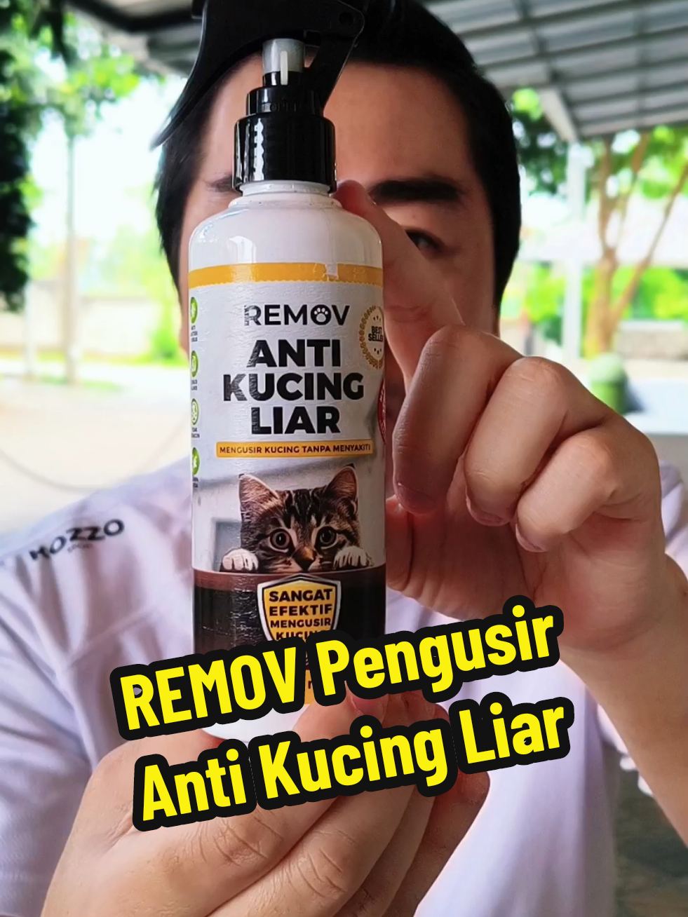 @Everlasting Indonesia