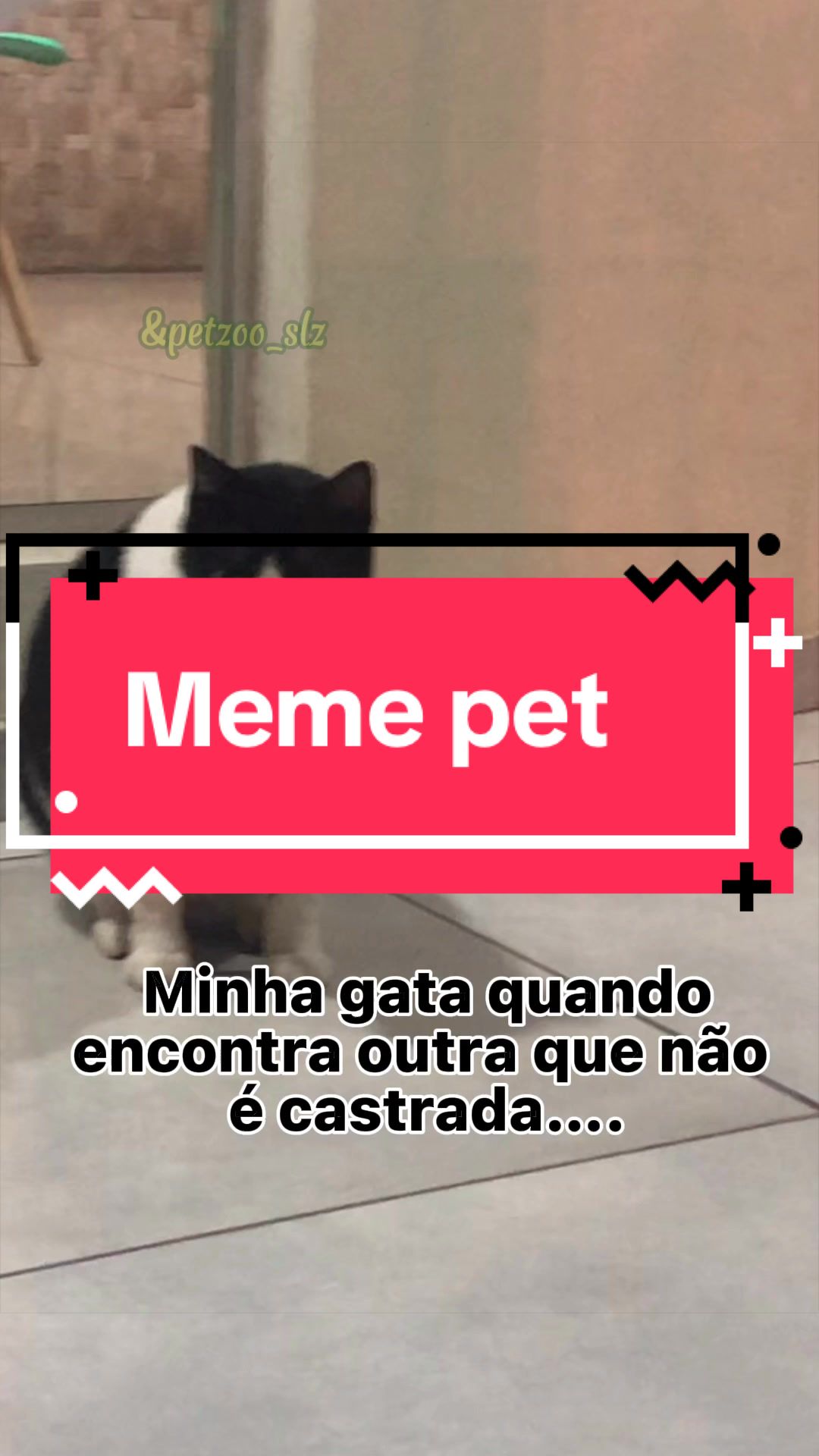 @Francinny Veterinária®️