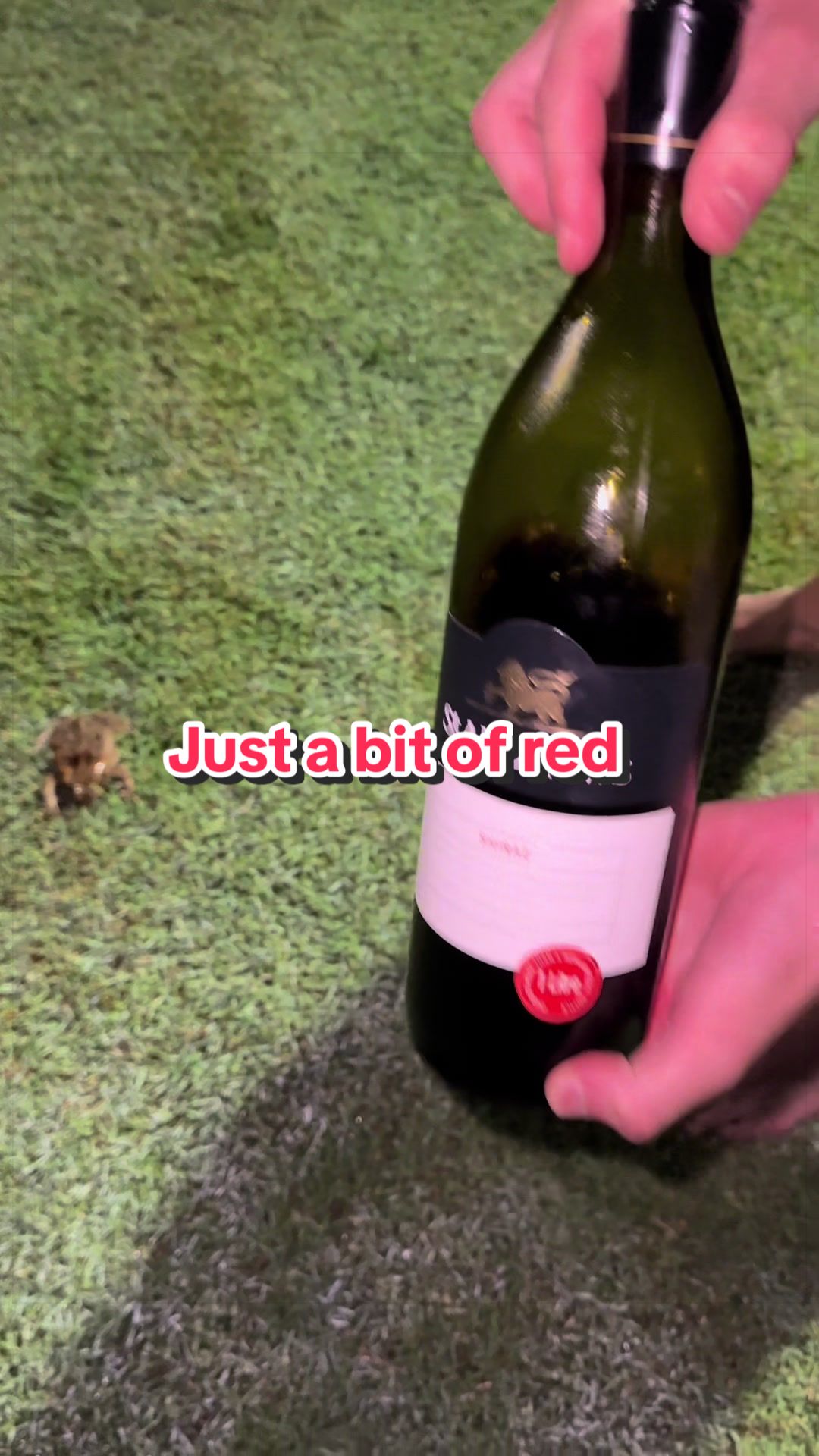 @men in wine