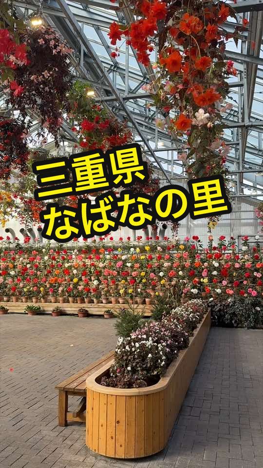 @user8661319828612