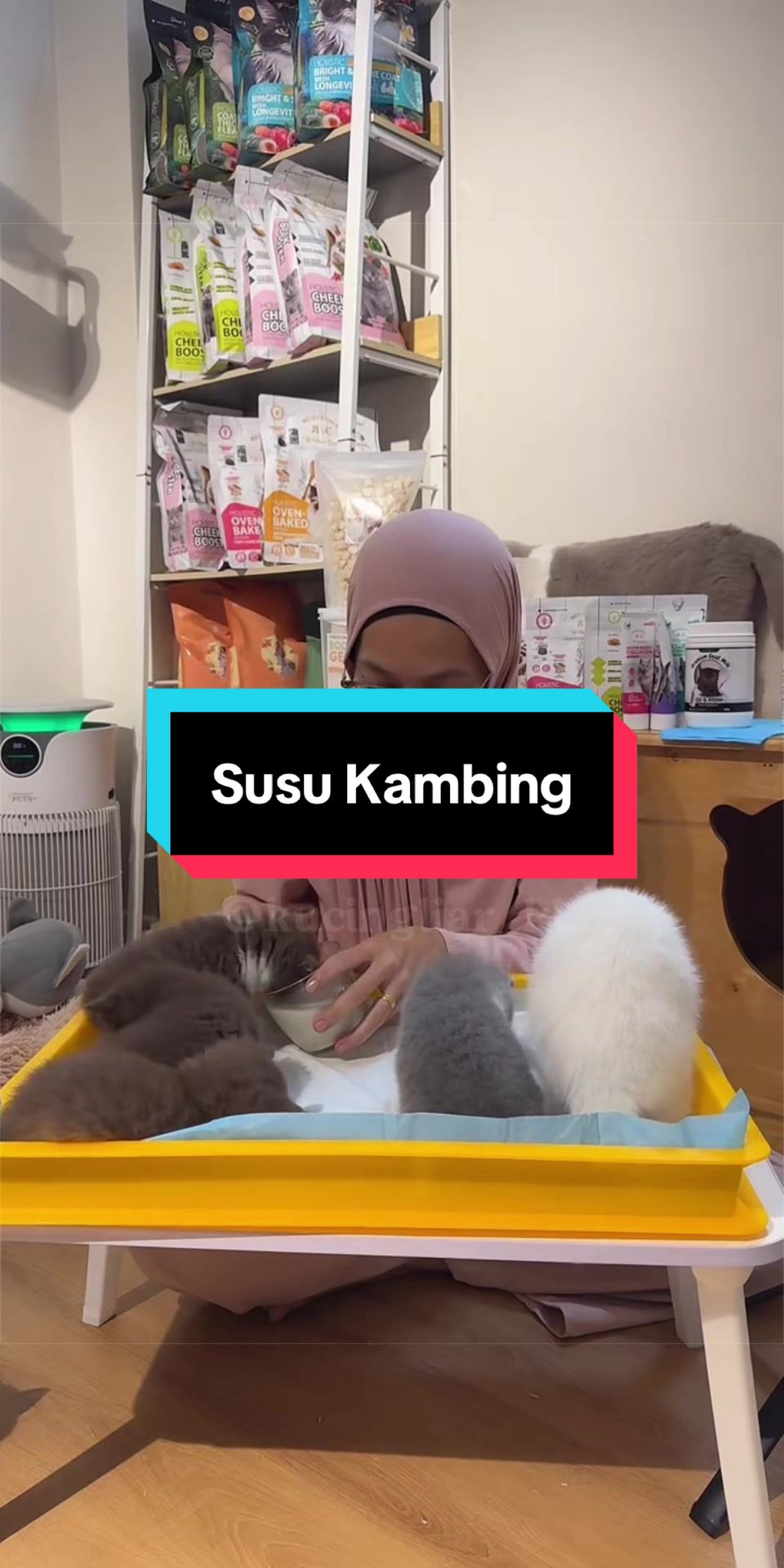 @kucingliar kl