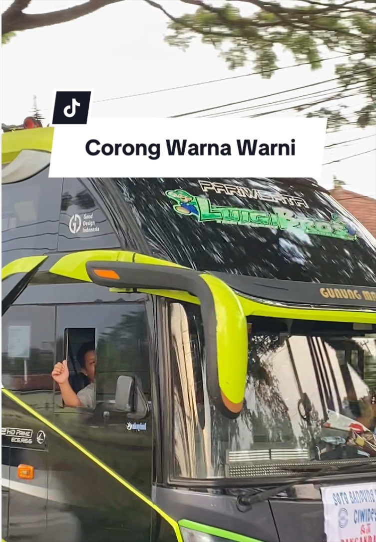 @Fasni Vidio Bus⚡️