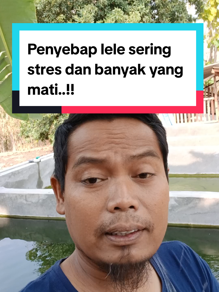 @Kang_Ewi