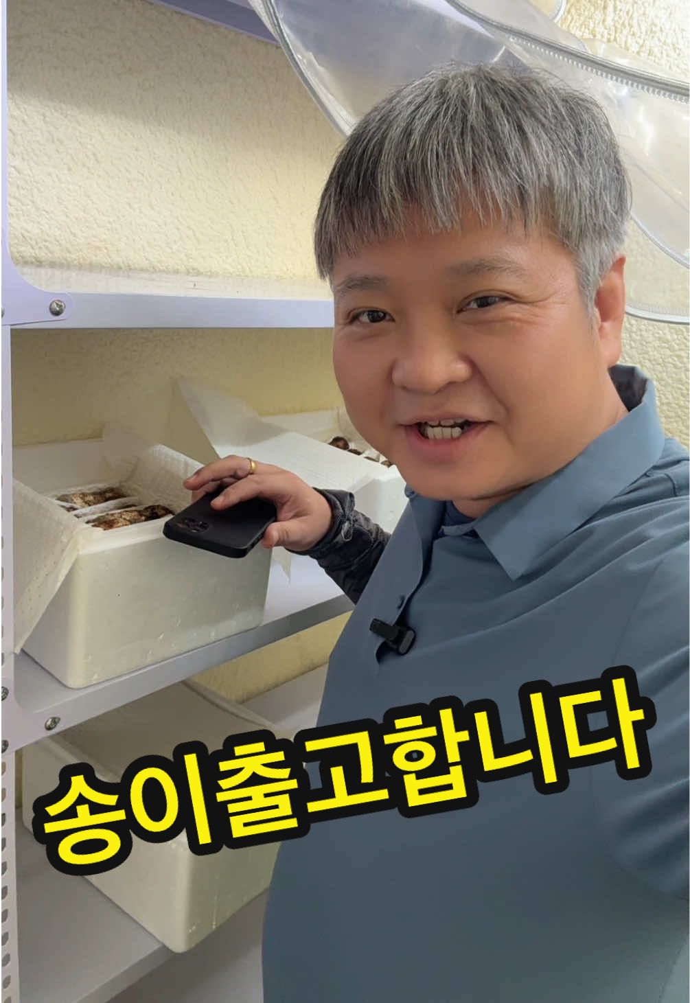 @원영-연변로찐