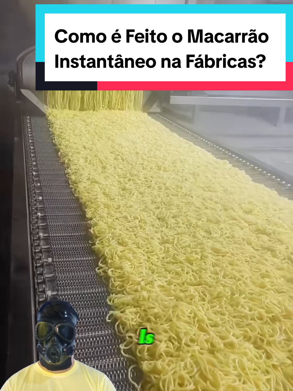 @Mundo da Curiosidades