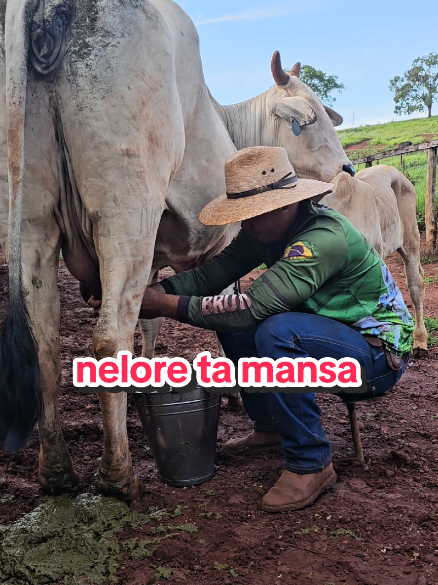@Geovane neto