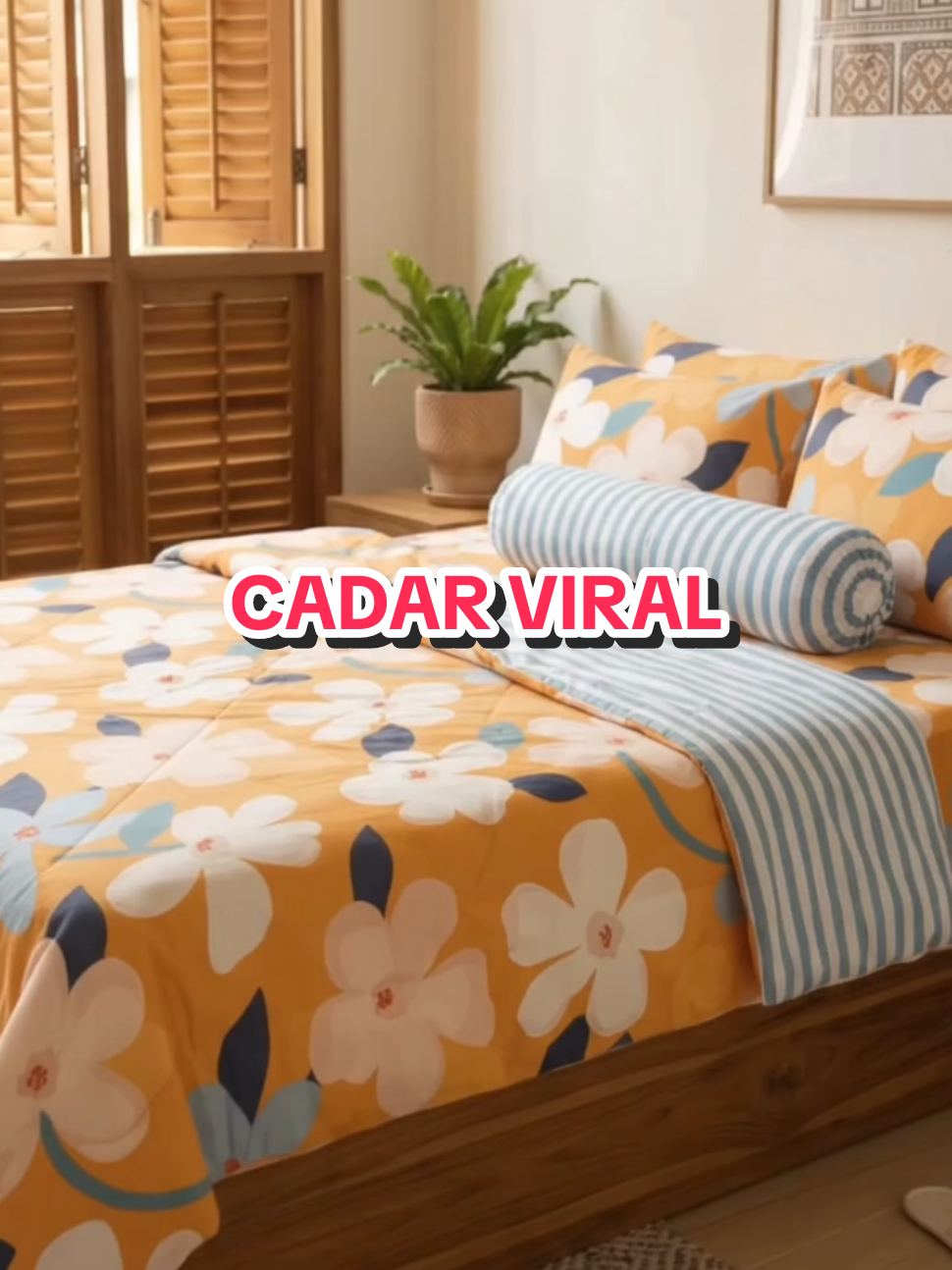 @mirazaidi